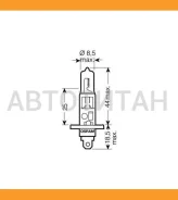 ����� H1 24V 70W P14.5s Original LINE �������� ������������ �/� (���) 1 ��. HCV 24V 70W P14,5S 64155 ����