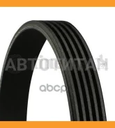 ������ ������������ Contitech Continental 5PK1240 5PK1240 ����