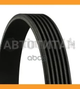 ������ Continental 6PK1900 6PK1900 ����
