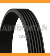 ������ ������������ 6PK2160, QBR62160, 6K2160, 29009, 6PK2163, 6PK2161, 6PK2162, 6PK2158, 6PK2159, 7789985, 11287789985, LF1715909A, LF1715909B, 01399...