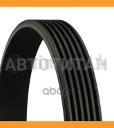 ������ ������������ Continental 6PK2230 6PK2230 ����