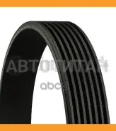 ������ ������������ Continental 7PK1605 7PK1605 ����