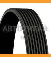 ������ ������������ 8PK1477, 8PK1478, 8PK1476, 8PK1480, 8PK1479, 7628659, 7589365, 11287628659, 11287589365 Continental 8PK1478 8PK1478 ����