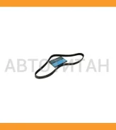 ������ ������������ Dayco Dayco 7PK1575HD 7PK1575HD ����