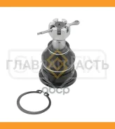����� ������� | ����� ����/��� | Nissan Almera 1.4-2.0 95-00 / 100 NX 1.6-2.0 90-94 / Sunny III 1.4-2.0 90-95 SG1176 ����