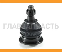 ����� ������� | ����� ����/��� | 01011160 ����