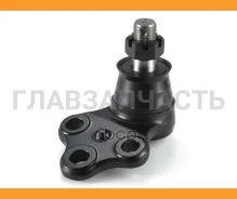 ����� ������� | ����� ����/��� | 01020755 ����
