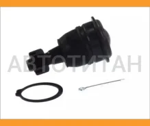 ����� ������� | ����� ����/��� | 01020765 ����