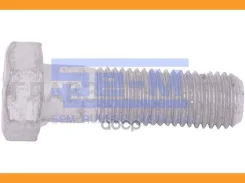 ���� �������� M20x2.5x69 Scania P/G/R/T/4-ser 16176 ����