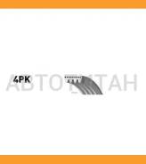 ������ ������������ XF 48355 4PK878 ����