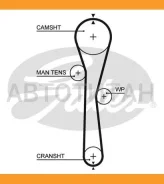 ������ ��� 095x234H Peugeot 206 1.4i, Renault Clio/Twingo/Kangoo 1.2 16V 01 Gates 5577XS 5577XS ����