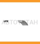 ������ ������������ XF 48363 4PK978 ����