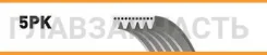 ������ 5PK1375 Gates 58395 1987946056, 5PK1378, 5PK1375, QBR51375, 5K1378, 8640501375, 1375K5, 5PK1380, 5PK1376, 7700861466 5PK1375 ����