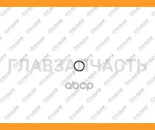 ������ �������������� ������� �������� ����� TI-GUAR /Honda; 13*1,5; TG-RS031; 91212RNAA01 91212R1BA01 91319PR3000 TGRS031 ����