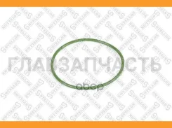 ������ �������������� �������(�) 110x5 DAF CF65/CF75/CF85/LF55/XF95/105 8322160SX ����