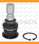����� ������� | ����� | Nissan_Altima L32 (2006-2013)/Altima Coupe CL32 (2007-2013)/Altima Hybrid L32HV (2006-2012)/Elgrand #E52 (2010-�)/Maxima A35...