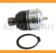 ����� ������� | ����� | JB23562 ����