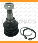 ������� ����� | ����� | Lexus_GS200T ARL10 (2015-�)/_GS250 GRL11 (2011-�)/_GS350 GRL10 (2011-2015)/_GS450H GWL10 (2012-�)/_IS200 GXE10 (1999-2005)/_IS...