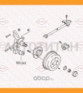 ����������� ������ ����� | ��� ����/��� | TEF1262 ����