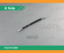 ����� ��������� 2101 �������� (PH21011 CM9) ���� PH21011CM9 ����