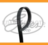 ������ 4PK1070-1075 HD Gates 48371 4PK1070HD ����