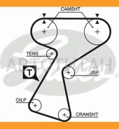 ������ ��� 5244 XS Gates 148x1 Gates 5244XS 5244XS ����
