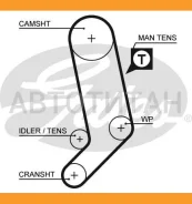 ������ ��� 122x265 Audi 100/A6, VW T4 2.5/2.4D/2.5TDi 5V 89 Gates 5323XS 5323XS ����