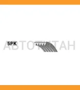 ������ 5PK1720 Gates Gates 5PK1720 5PK1720 ����