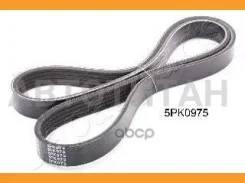 ������ ������������ Daewoo Lanos (KLAT) 1.3 (A13SM) DV5PK0975 ����