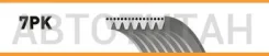 ������ 7PK2875XS Gates 1987948401, 7PK2875, 7PK2876, 7PK2872, VKMV7PK2876, QBR72875, 7PK2875TM, 7K2875, 8640702875XS, CA7PK2872, 7PK2875G, 2875K7, AB2...
