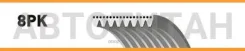������ ���������Ford Expedition, Lincoln Navigator 4.6i/3.1D 96-06 Gates 8PK2485 8PK2485 ����