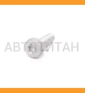 ���� � ���������� TORX M6x22 N10700201 ����