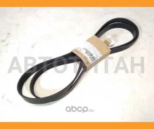 ������ Hyundai-KIA 2521237182 2521237182 ����