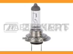 ����� H7 12V 55W Longlife LP1024 ����