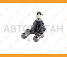����� ������� | ����� ����/��� | C1021LR ����