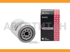������ �������� Citroen Jumper I 02- Fiat Ducato II 02- Peugeot Boxer I 02- Iveco Daily III-VI 99- ML5723 ����