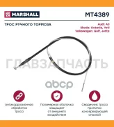 ���� ����������� ������� MT4389 ����