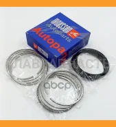 ������ ��������� + 0,25 �� �������� BMW 1,6 N13B16 (77,25*1,2*1,5*2,0) �� 1 ������� SRSN13B16025 ����