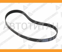 ������ ������������ OPEL Astra F/Corsa B/FIAT Ducato/Renault CLIO I/II/Kangoo/Rapid 2,5D 91-02 6PK900 ����