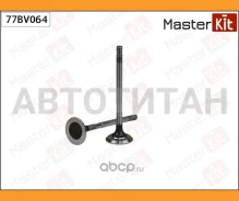 ������ ��������� 77BV064 ����