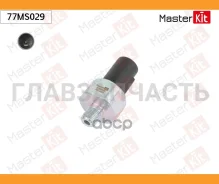 ������ �������� ����� 77MS029 ����
