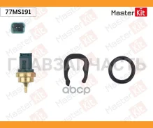 ������ ����������� ����������� �������� 77MS191 ����