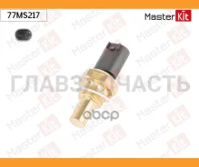 ������ ����������� ����������� �������� 77MS217 ����