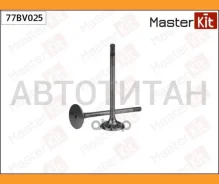 ������ ��������� 77BV025 ����