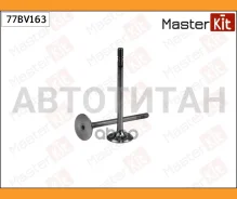 ������ �������� VAG C 77BV163 ����