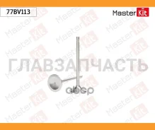 ������ �������� VAG BVY, BVZ 77BV113 ����