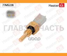 ������ ����������� ����������� �������� 77MS228 ����