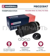 ������������ | ��� ����/��� | M8020847 ����