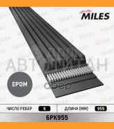 ������ ������������ 6PK955 6PK955 ����