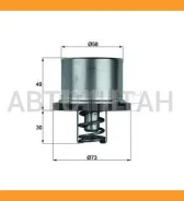 ��������� Volvo F/FH12, ���-650 Knecht-Mahle THD182 THD182 ����